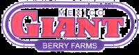 GIANT BERRY FARMS