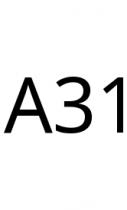 A31