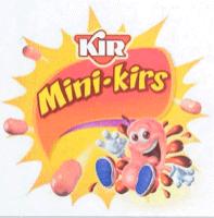 KIR MINI-KIRS