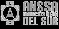 NS ANSSA ANUNCIOS NEÓN DEL SUR