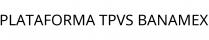 PLATAFORMA TPVS BANAMEX