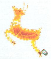 ZG