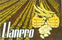 LLANERO