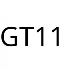 GT11