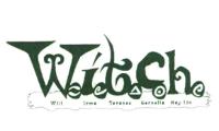 W.I.T.C.H. WILL IRMA TARANEE CORNELIA HAY LIN