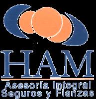 HAM ASESORÍA INTEGRAL SEGUROS Y FIANZAS