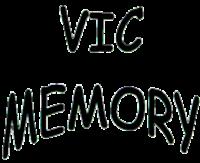 VIC MEMORY