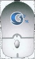 YM