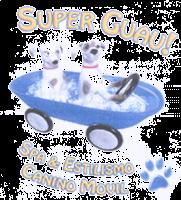 SUPER GUAU!