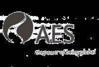 AES THE POWER OF BEING GLOBAL