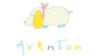 AVEN TON