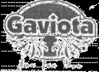 GAVIOTA