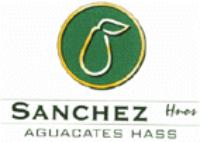 SANCHEZ HNOS AGUACATES HASS