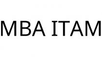 MBA ITAM