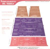 PIRAMIDE ORGANOLEPTICA DEL TEQUILA