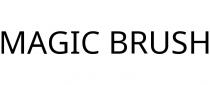 MAGIC BRUSH