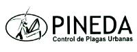 PINEDA