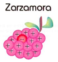 ZARZAMORA