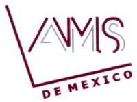 AMS DE MEXICO