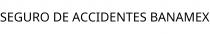 SEGURO DE ACCIDENTES BANAMEX