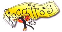 FOCATTO'S KFE
