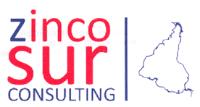ZINCO SUR CONSULTING
