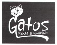 GATOS FIESTA A DOMICILIO