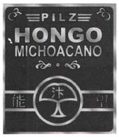 PILZ HONGO MICHOACANO