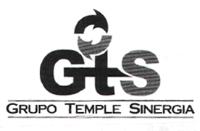 GTS GRUPO TEMPLE SINERGIA