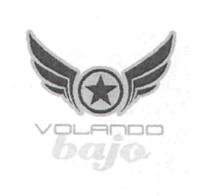 VOLANDO BAJO
