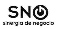 SNG SINERGIA DE NEGOCIO