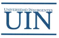 UIN UNIVERSIDAD INSURGENTES