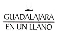 GUADALAJARA; EN UN LLANO
