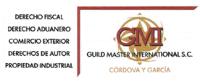 GUILD MASTER INTERNATIONAL S.C.