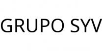 GRUPO SYV