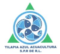 TILAPIA AZUL ACUACULTURA SPR DE RL