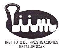 INSTITUTO DE INVESTIGACIONES METALURGICAS IIM