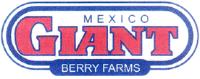 GIANT BERRY FARMS