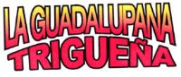LA GUADALUPANA TRIGUEÑA
