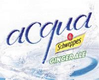 ACQUA SCHWEPPES GINGER ALE