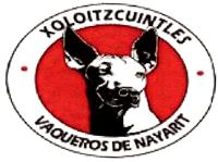 XOLOITZCUINTLES VAQUEROS DE NAYARIT