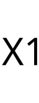 X1