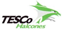 TESCO HALCONES
