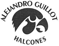ALEJANDRO GUILLOT HALCONES