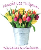 FLORERIA LOS TULIPANES