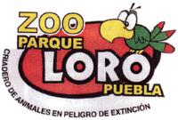 ZOO PARQUE LORO PUEBLA CRIADERO DE ANIMALES EN PELIGRO DE EXTINCIÓN