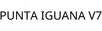 PUNTA IGUANA V7