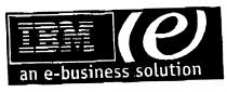 IBM an e-business solution
