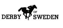DERBY OF SWEDEN