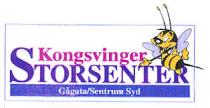 Kongsvinger STORSENTER Gågata/Sentrum Syd